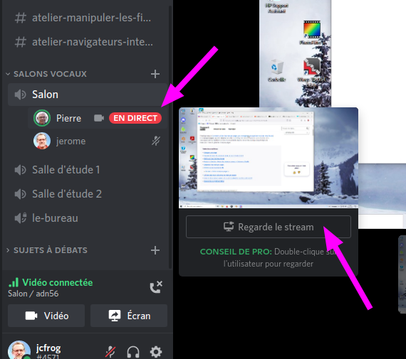 Fichier:Stream discord2.png